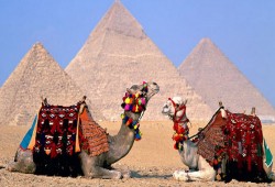 حكومة الانقلاب: انخفاض الدخل السياحى بنسبة 60% فى الربع الأول من 2016