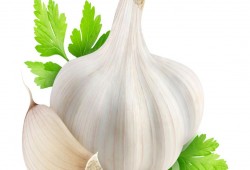 أعشاب تحافظ على سلامة المخ.. تعرف عليها