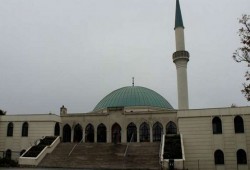 مجهولون يُعلقون رأسي "خنزير" على سور مسجد في النمسا