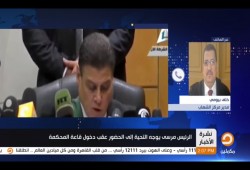 بيومي: 1700 قرار بالإحالة للمفتي منذ الانقلاب العسكري