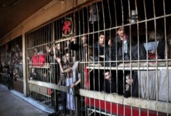 "هيومن رايتس": تدهور الأوضاع داخل سجن حماة في سوريا