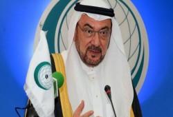 "التعاون الإسلامي" تعين أول ممثل للمنظمة في دولة فلسطين