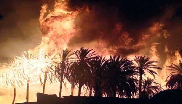 استمر 11 ساعة .. حريق هائل يدمر 21 فدانا من النخيل ويمتد لأشجار الزيتون بالواحات