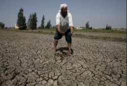 الجفاف يضرب مصر.. أهالي الشرقية يستغيثون بعد بوار أراضيهم لشح المياه
