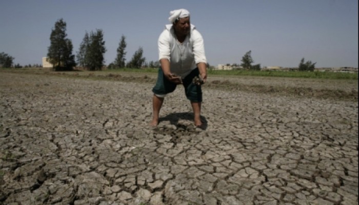 الجفاف يضرب مصر.. أهالي الشرقية يستغيثون بعد بوار أراضيهم لشح المياه