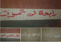 جداريات لطلاب ضد الانقلاب بأبو حمص تُندد بالحكم العسكري