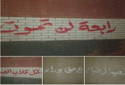 جداريات لطلاب ضد الانقلاب بأبو حمص تُندد بالحكم العسكري