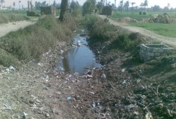 مزارعو ايتاى البارود يشتكون من جفاف "ترعة أبو دياب"