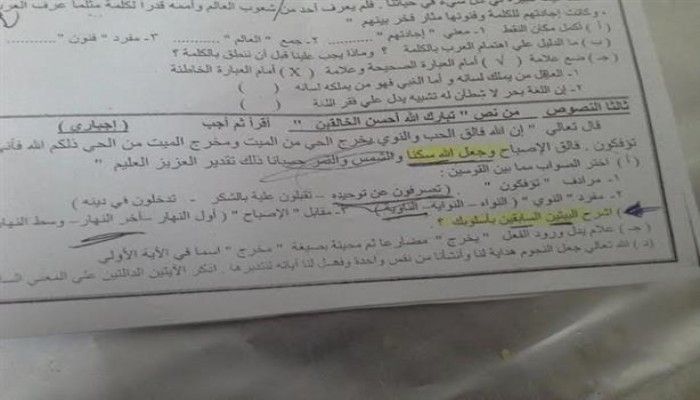 أخطاء في آية قرآنية واعتبارها ''بيت شعر'' في امتحان إعدادي تلا بالمنوفية