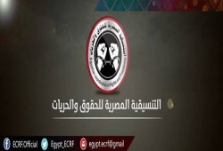 "التنسيقية المصرية " تدين تعذيب المعتقل "إبراهيم محمود" وحرمانه من العلاج بسجن وادي النطرون