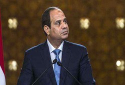 سياسي ألماني: دون أموال الخليج نظام السيسي سينهار (فيديو)