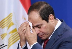 مدير "رايتس ووتش": السيسي ضعيف وغير آمن