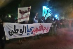 ثوار العزيزية بالشرقية يرفعون لافتات: "بدم الشهيد يحيا الوطن"