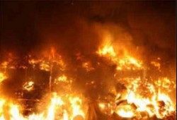 حريق هائل يلتهم 100 فدان موز بالصالحية الجديدة وخسائر 6 مليون جنيه