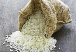 "التموين": مخزون الأرز لا يكفي شهر رمضان