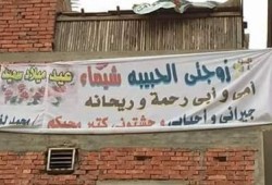 بيوت وردية