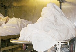 الأهالي يشتكون من سرقة المقابر وتجارة الأعضاء في الإسكندرية