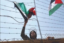 شبان يرفعون علم فلسطين فوق مركز شرطة صهيوني بالجليل