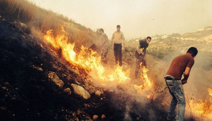 إصابات واحتراق أشجار بمواجهات مع الاحتلال الصهيونى بكفر قدوم