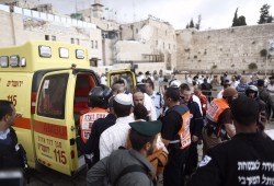 فلسطين المقاوِمة.. طعن إسرائيلي بالقدس