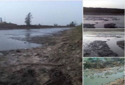 العطش يضرب آلاف الأفدنة الزراعية بمركز الحسينية بالشرقية