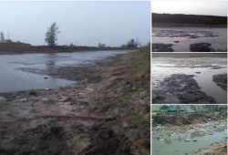 العطش يضرب آلاف الأفدنة الزراعية بمركز الحسينية بالشرقية