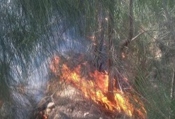 حريق هائل يأتي على محاصيل أراضي الخريجين بالنوبارية (فيديو)