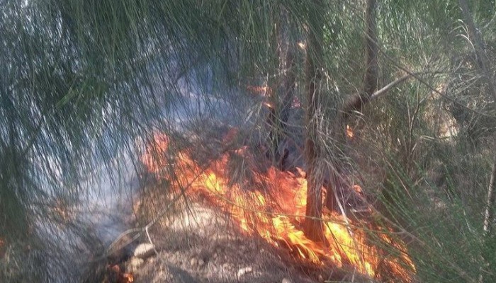 حريق هائل يأتي على محاصيل أراضي الخريجين بالنوبارية (فيديو)