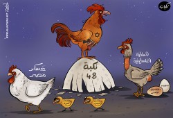 كاريكاتير: نكبات