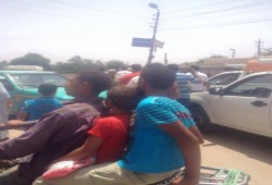 سائقو سيارات الأجرة بقرية الأسدية بالشرقية يضربون عن نقل الركاب