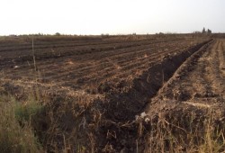 الأهالي يكسرون بوابات مياة ترعة بالشرقية بسبب نقص مياه الري