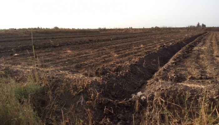 الأهالي يكسرون بوابات مياة ترعة بالشرقية بسبب نقص مياه الري