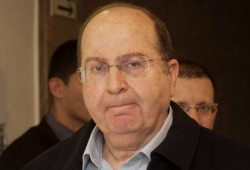 يعالون يعلن استقالته من وزارة الحرب الصهيونية