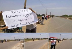 ‏المنوفية‬ : ثوار وأحرار المنوفية بمركز قويسنا بسلسة بشرية