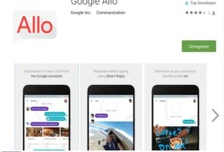 خبير أميركي: استخدام تطبيق الدردشة "جوجل Allo" غير آمن