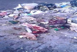 كارثة بسيناء.. توقفت محارق المستشفيات فألقيت المخلفات السامة في الشوارع