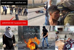 المقاومة الفلسطينية في أسبوع: 94 مواجهة و3 عمليات وإصابة 8 صهاينة