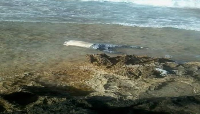 العثور على جثة سابعة "مجهولة الهوية" أمام سواحل مطروح