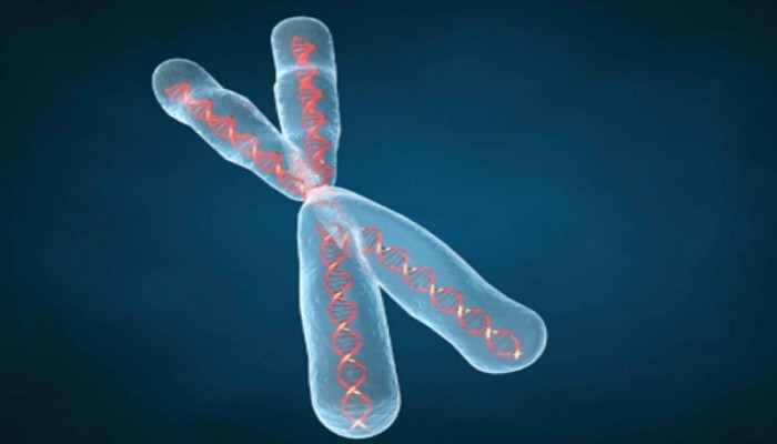 4 أعراض تدل على الإصابة بالروماتويد.. تعرف عليها