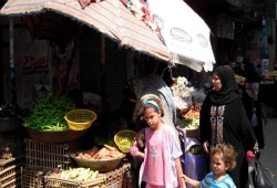 الأمم المتحدة تتوقع ضررًا اقتصاديًا كبيرًا لمصر بسبب ارتفاع أسعار الأغذية