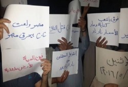 وقفة مناهضة لحكم العسكر لثوار دكرنس بالدقهلية