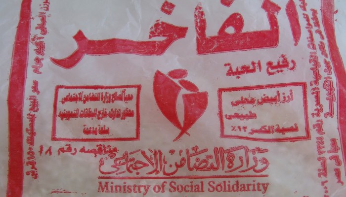 المنوفية.. الأرز "لا يوجد"