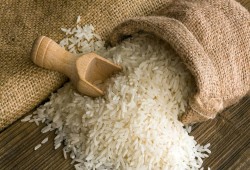 بعهد الانقلاب ..  تصدير 750 ألف طن أرز على أنها فاصوليا!