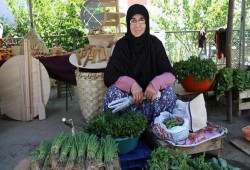 شقيقة وزير الصناعة التركي "بائعة الخضار"  تسمع خبر تعيينه من الباعة الآخرين