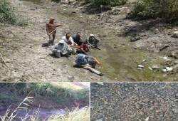 شاهد.. السيسي بوَّر الأرض.. صرخة الفلاحين بعد اختفاء المياه