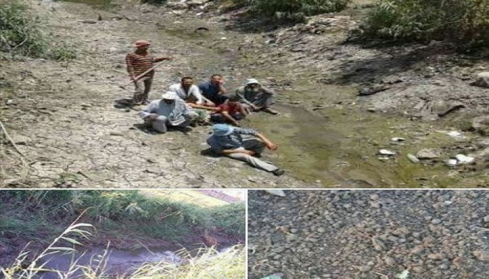 شاهد.. السيسي بوَّر الأرض.. صرخة الفلاحين بعد اختفاء المياه