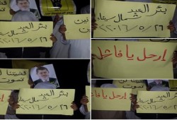 وقفة لثوار بئر العبد في ختام أسبوع ارحل يا فاشل