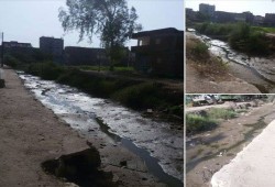 البحيرة : جفاف ترع الري بشبراخيت يتسبب في بوار المحاصيل الزراعية