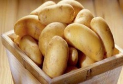 تراجع صادرات البطاطس بنسبة 33.8% وارتفاع الموالح 5%