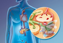 علاج السرطان على الأبواب.. خبراء الأورام يتحدثون عن تقدم ثوري